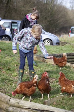 landscape feb 2016 cumbria 36 sm-c36.jpg